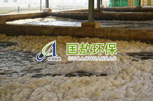 污水處理|污泥膨脹問題，解決方案與工藝建議
