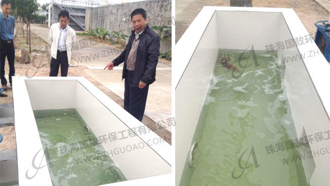 印染廢水處理后養(yǎng)魚？紡織污水處理廠(附圖)